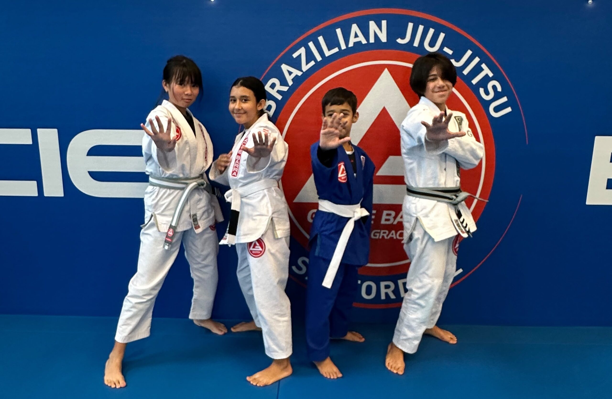 bjj classes near me